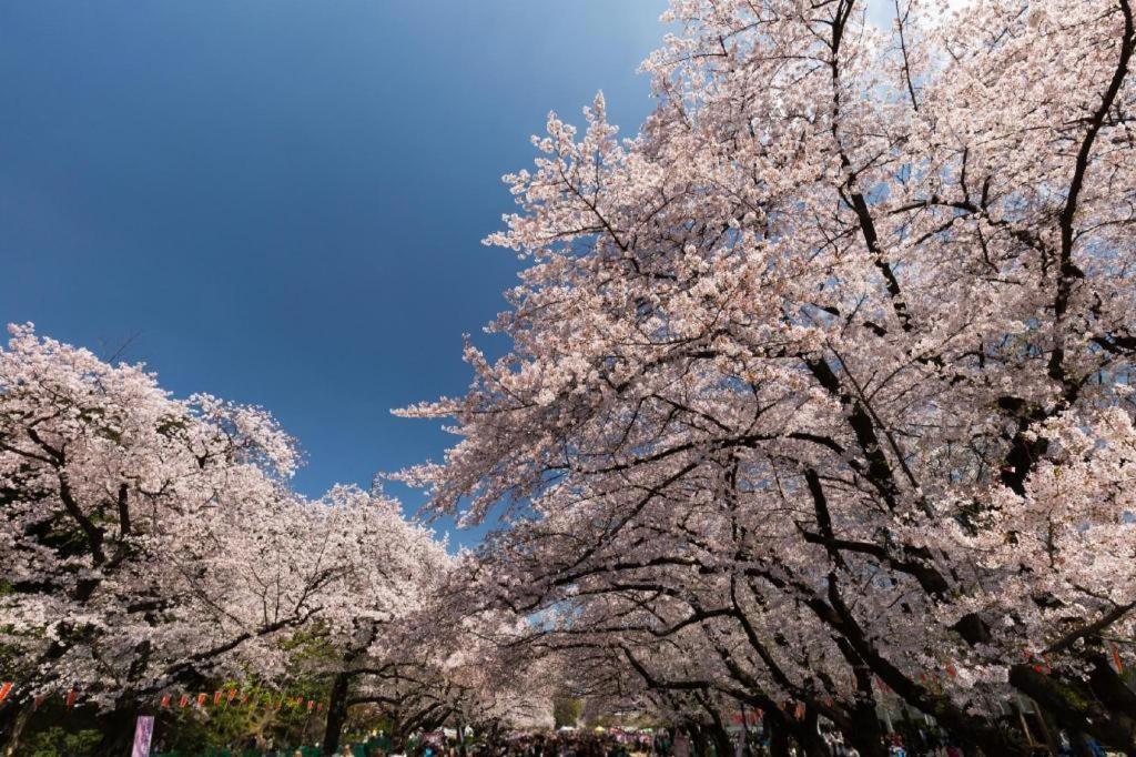 Forest Hongo Tokyo Eksteriør bilde